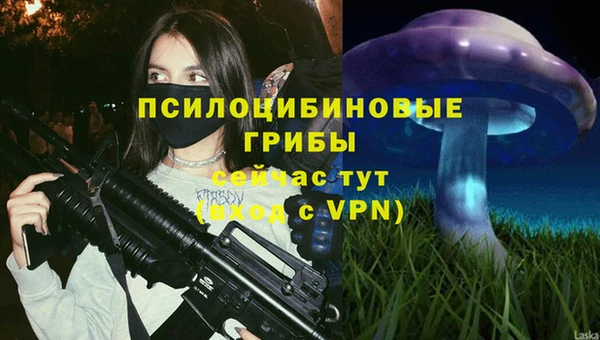 трава Балахна