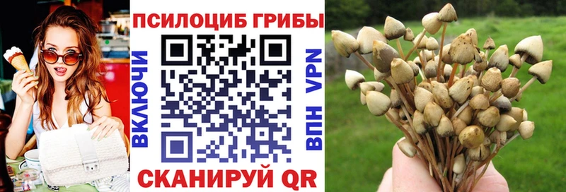 Псилоцибиновые грибы Psilocybe  Шахты 